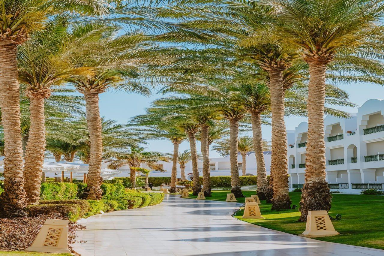 Baron Palms Adults Friendly Only 16 Years Plus Boutique Hotel Style Sharm El-Sheikh Exterior foto The Palm Jumeirah